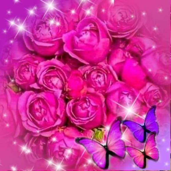 Meet your Posher, Frozan - Picture 1 of 1